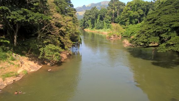 Купание в Махавели Ганга