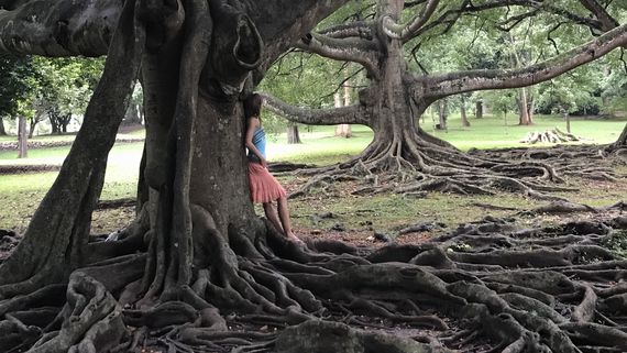 В Королевском ботаническом саду Перадения