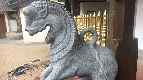 Азиатский лев