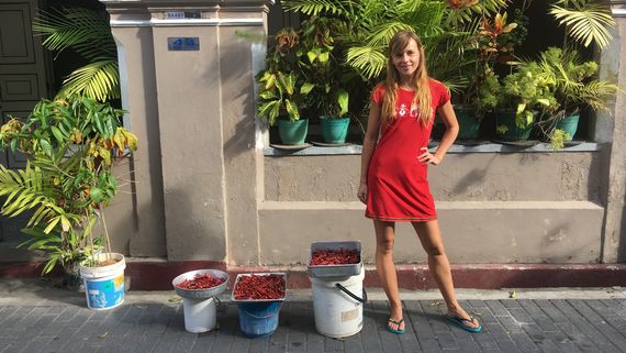 Красные острые чили