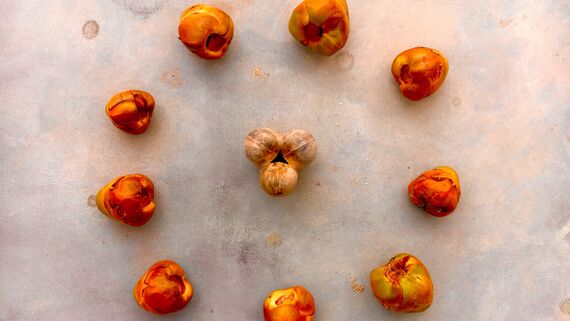 Огненные кокосы