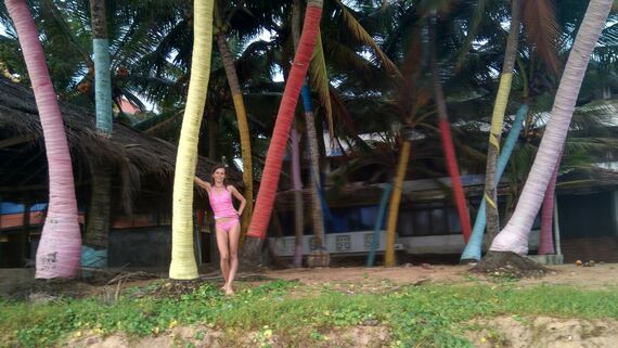 Цветные пальмы