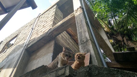 Принуждение к согласию