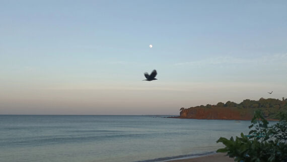 Полнолуние в Тринко