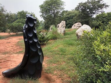 Auroville Botanical Gardens