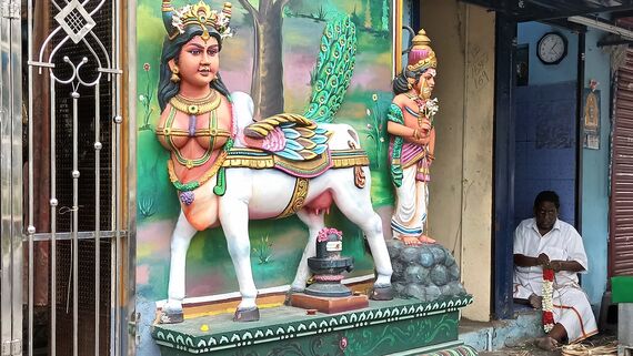 Богиня и Дракон