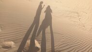 Тени песчаных дюн