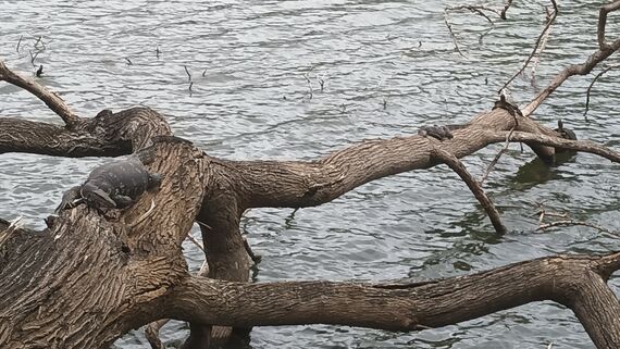 Озеро Канди