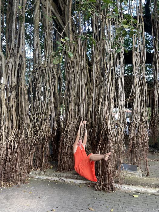 Magic Roots