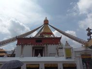 Doves of Boudhanath