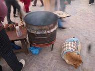 Warming dog