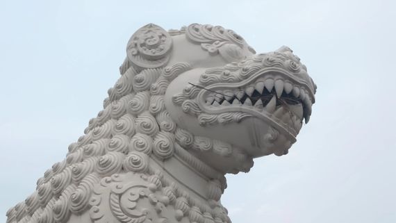 Lion with a Nest in its Mouth