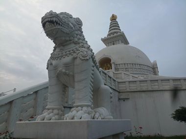 Лев с гнездом